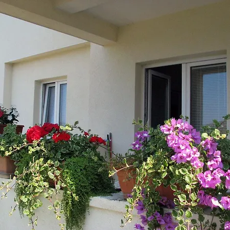 255 Appartement